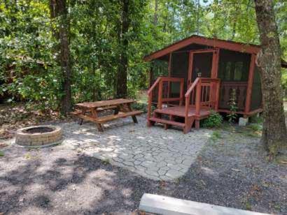 Stanley LandingOkefenokee Pastimes Cabins and Campground的树林中的小屋,配有野餐桌和长凳