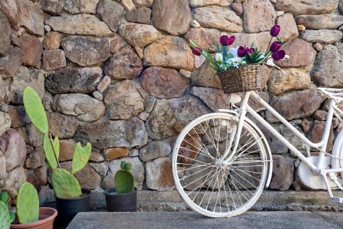 阿尔盖罗Lu Casal de Fiò的一辆自行车,在石墙旁的篮子里放着鲜花
