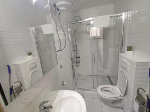 卡尔卢巴格Apartments Marecic的带淋浴、卫生间和盥洗盆的浴室