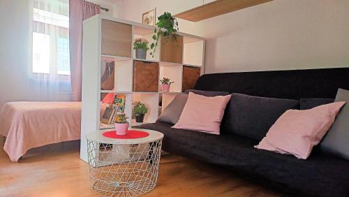 卢布林Apartament Malinowy Świętoduska 12的客厅配有黑色沙发和桌子