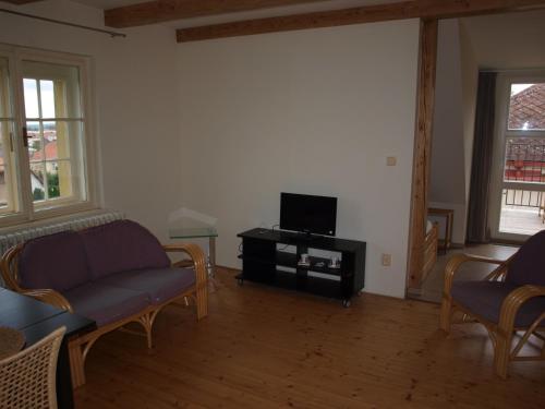 利托梅日采达利米尔卡公寓的带沙发和电视的客厅