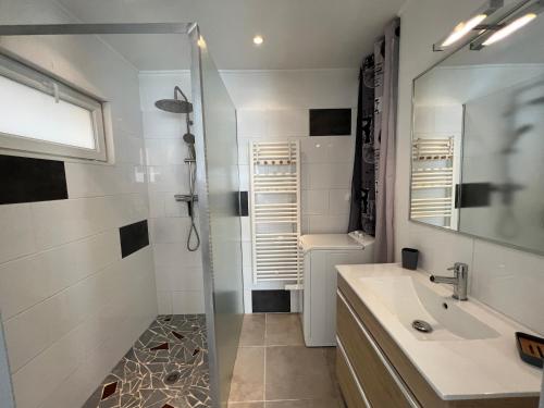 罗什福尔T3 COSY MAISON DE VILLE TERRASSE AU CALME的带淋浴和盥洗盆的浴室