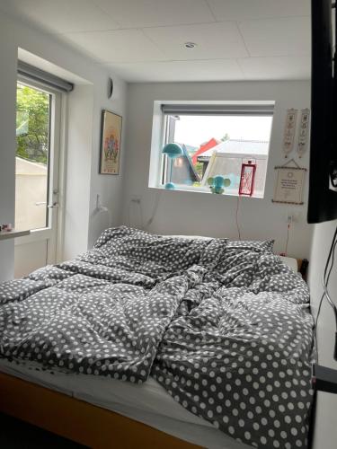 托尔斯港Nice apartment in the middel of Tórshavn的一间卧室配有一张带波卡圆点床单的床。