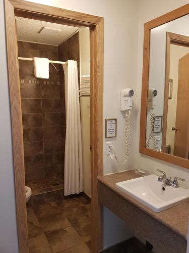 松林汽车旅馆的一间浴室