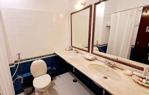 乌代浦摩哂陀普拉喀什酒店的一间带卫生间、水槽和镜子的浴室