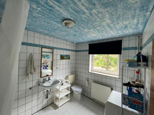 格罗森克内滕Landhaus Huntlosen Monteure的一间带水槽和蓝色天花板的浴室
