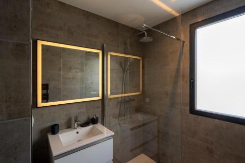 勒芒Villa Seyal - avec piscine - jacuzzi - sauna & climatisation的一间带水槽和淋浴的浴室
