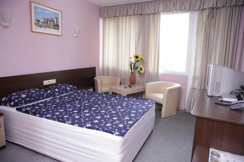 维丁Family Hotel Avramov的一间卧室配有一张床、一张书桌和一台电视