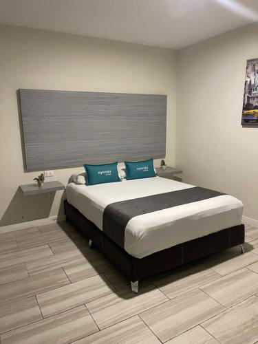 瓜达拉哈拉Constanza Loft的一间卧室配有一张带蓝色枕头的大床
