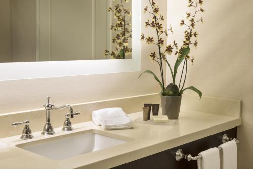 安纳海姆奥兰治艾尔斯酒店的浴室设有水槽,上面有盆栽植物