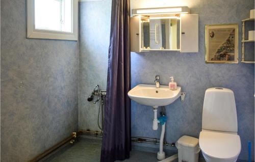 维默比Gorgeous Home In Vimmerby With Kitchen的一间带水槽、卫生间和镜子的浴室