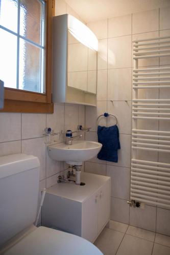 克洛斯特斯Landstrasse 153的一间带水槽、卫生间和镜子的浴室