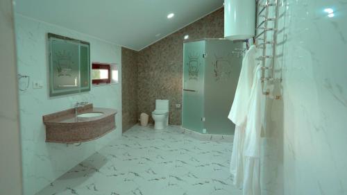 奇姆肯特Эдем的一间带水槽、淋浴和卫生间的浴室