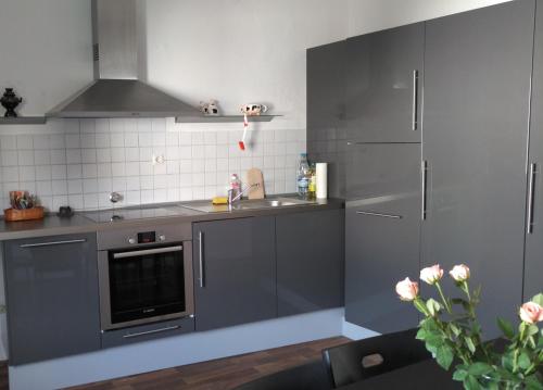 锡格堡Siegburg Apartment 1的厨房配有灰色橱柜和水槽