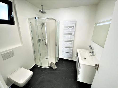 马拉科夫Studio de standing的带淋浴、卫生间和盥洗盆的浴室