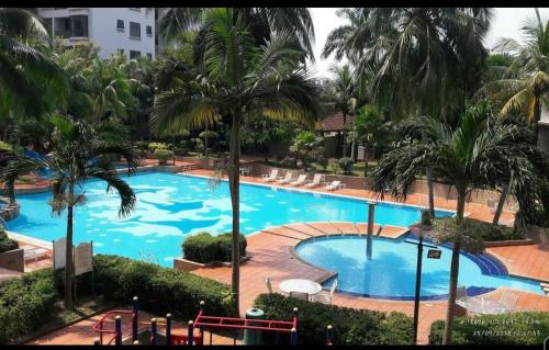 马六甲Century Mahkota Apartments的享有棕榈树大型游泳池的景色