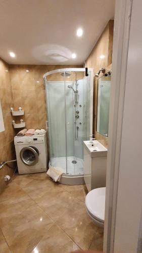 卡托维兹Spokojna APT的带淋浴和洗衣机的浴室