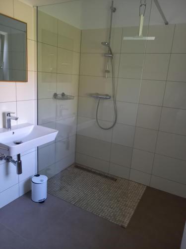 梅尔斯堡Ferienwohnung Riposo的带淋浴和盥洗盆的浴室