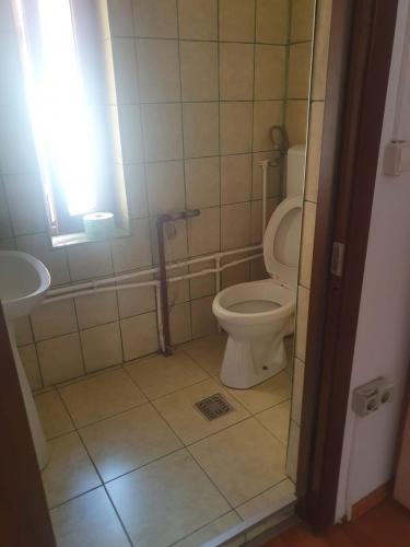 布加勒斯特Cazare - Accommodation的一间带卫生间和水槽的浴室