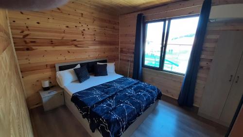 萨帕雷瓦巴尼亚Вила ВлаиДа的小木屋内一间卧室,配有一张床