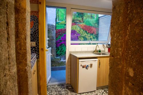 拉科鲁尼亚Apartamento Ciudad Vieja Coruña的厨房设有水槽和窗户。