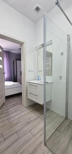 JasieńHostel AgMa的带淋浴、盥洗盆和镜子的浴室