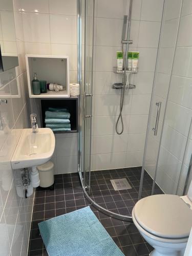 MyggenäsStuga的带淋浴、卫生间和盥洗盆的浴室