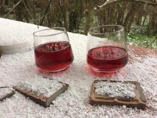 CastellʼUmbertoLo chalet sui NEBRODI的雪地桌子上放着两杯酒