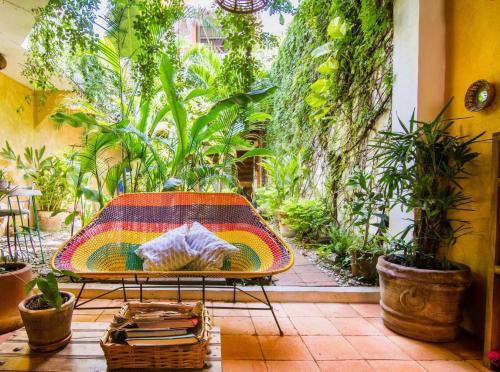 兹波利特Hotel Casa Mixteca的种有植物的花园中带椅子的庭院
