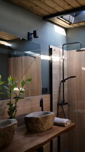 MiñortosAmaraxe Ecoglamping的一间带石质水槽和淋浴的浴室