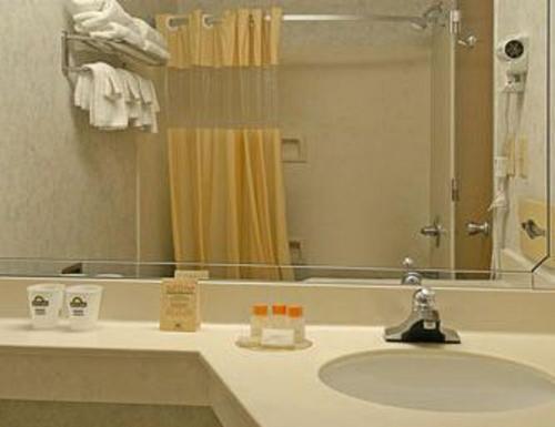 列克星敦列克星敦戴斯套房酒店的一间带水槽、镜子和淋浴的浴室