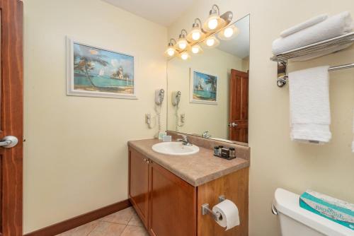 奥克兰A208 One Bedroom Standard View的一间带水槽和镜子的浴室