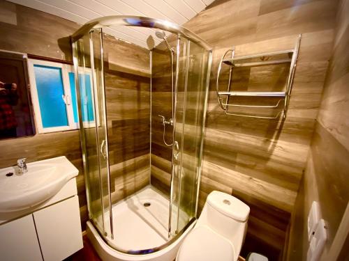 巴拉斯港Stillner Waldhaus的带淋浴、卫生间和盥洗盆的浴室