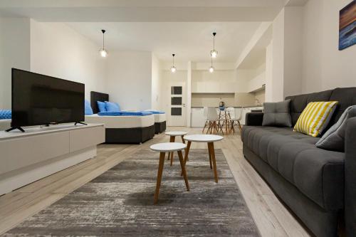 奥赫里德Villa Torres的带沙发和电视的客厅