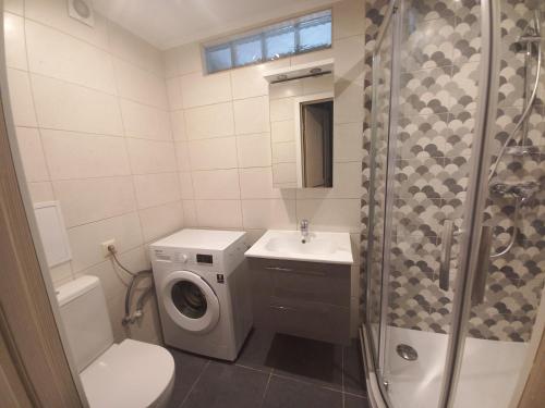 陶格夫匹尔斯Kandavas Street City Center Apartment的浴室配有卫生间水槽和洗衣机。