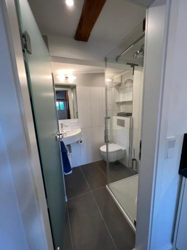 汉堡布兰肯内泽鲁特胡斯公寓的一间带卫生间、水槽和镜子的浴室