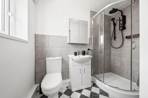 斯旺西Cwtch on the Coast的浴室配有卫生间、淋浴和盥洗盆。