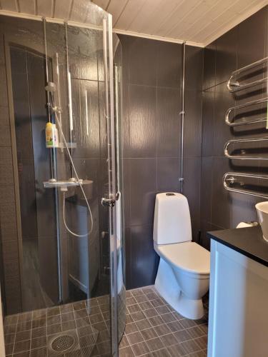 耶姆赛Niittyvilla Apartments的一间带卫生间和淋浴的浴室