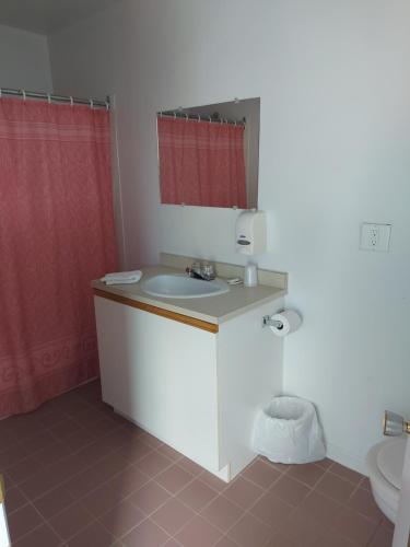 CloridormeMotel du Cap St-Yvon的浴室设有水槽和红色的淋浴帘