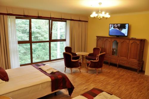 隆代克-兹德鲁伊米尔 - 扬SPA酒店的卧室配有一张床和一张桌子及椅子