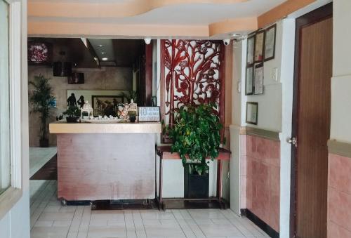伊洛伊洛RedDoorz @ Plaza La Paz Iloilo City的一间厨房,里面装有柜台和植物