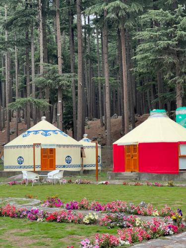 KalāmThe Glamping Spot Kalam的公园里两顶花树帐篷