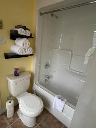 昂基Hôtel les quatre bonheurs的浴室设有卫生间和带毛巾的淋浴。