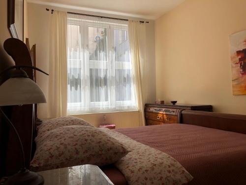奥洛穆茨Cozy apartment in the city centre的一间卧室设有一张床和一个窗口