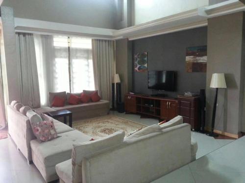 姆巴拉拉The Greenville Home的客厅配有两张沙发和一台电视
