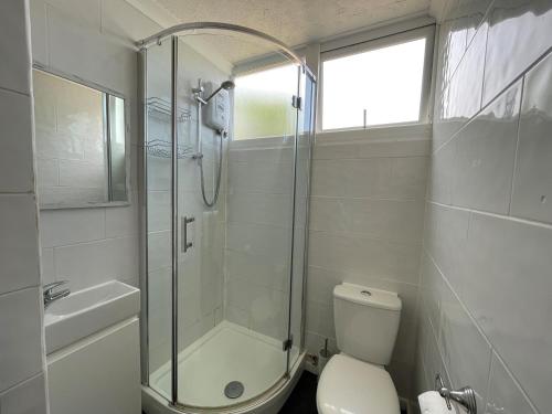 塞尔西10 Granada的带淋浴、卫生间和盥洗盆的浴室