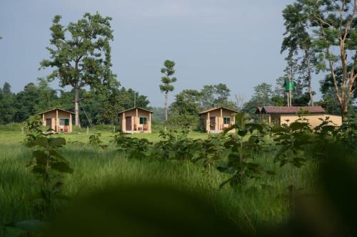 BhurkīāNamaste Bardiya Resort的草场上的一组小屋