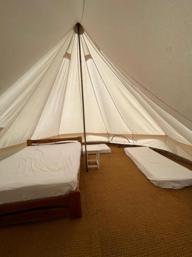 Llwyn-DafyddBell tent 1 Glyncoch isaf farm的一个带两张床的帐篷