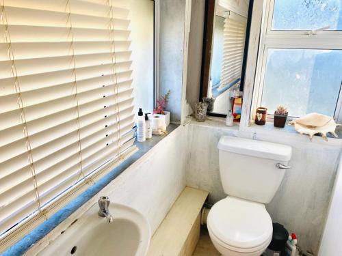赫罗德斯湾Top beach studio的一间带卫生间、水槽和窗户的浴室