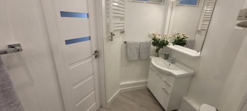 什切青Apartament Centrum Szczecin的白色的浴室设有水槽和镜子